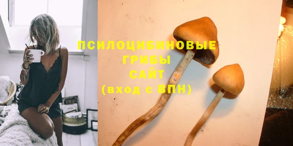 apvp Михайлов