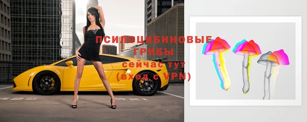 твердый Михайловск