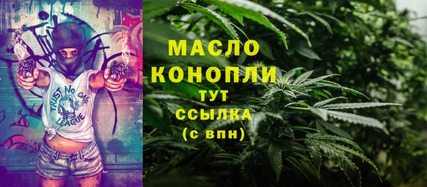твердый Михайловск