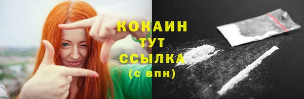 apvp Михайлов