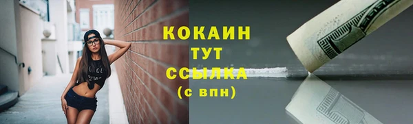 apvp Михайлов