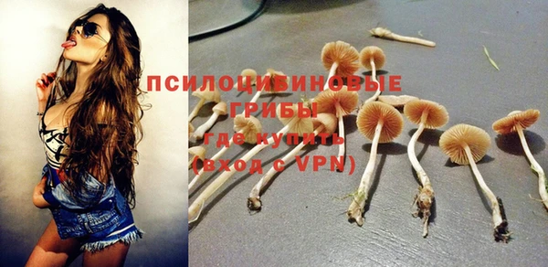 дурь Михайловка