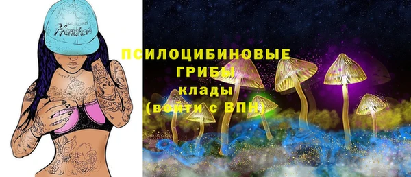 дурь Михайловка