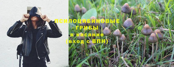 apvp Михайлов