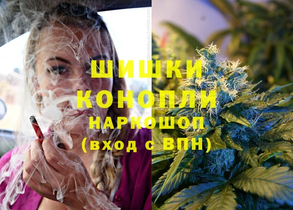 apvp Михайлов