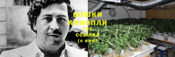 твердый Михайловск